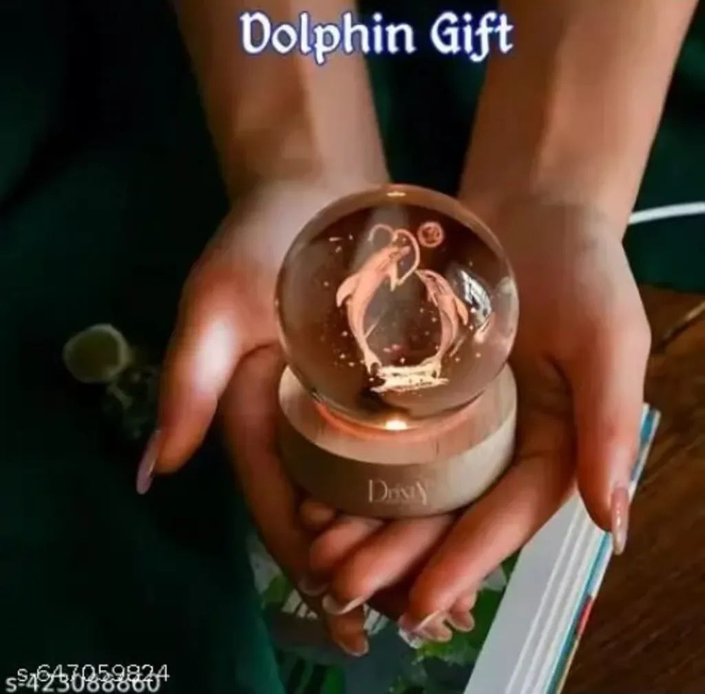 WhatsApp Image 2025-12-30 at 00.50.20.webp