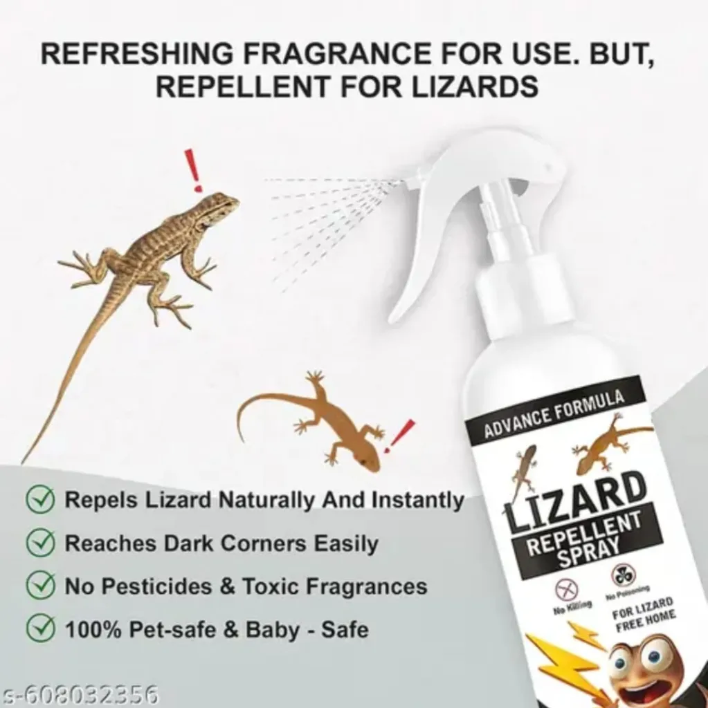 WhatsApp Image 2025-12-30 at 17.27.13 (1).webp